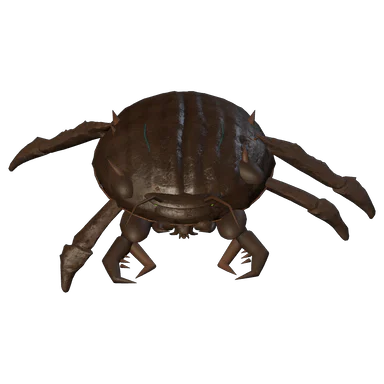 Bastion Shell — Dusk Brood