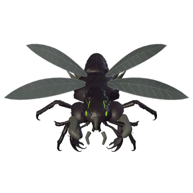 Night Hookstinger