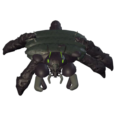 Night Hookstinger
