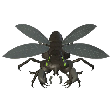 Night Bone Legion