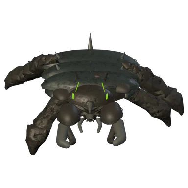 Night Bone Legion