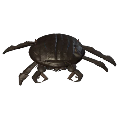 Bastion Shell — Night Brood